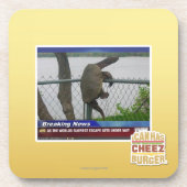 Excaping Schildkröte Untersetzer (Vorderseite)