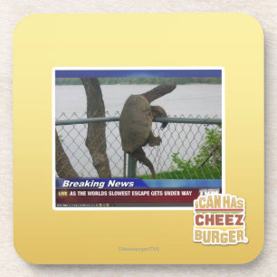 Excaping Schildkröte Untersetzer