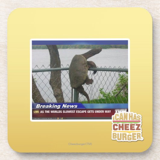 Excaping Schildkröte Untersetzer (Vorderseite)