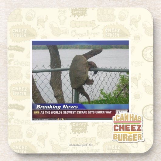 Excaping Schildkröte Untersetzer (Vorderseite)