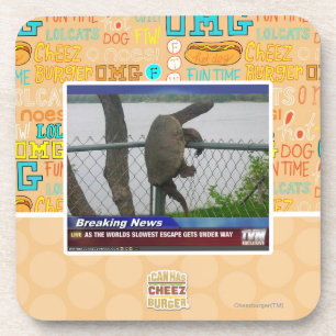 Excaping Schildkröte Untersetzer