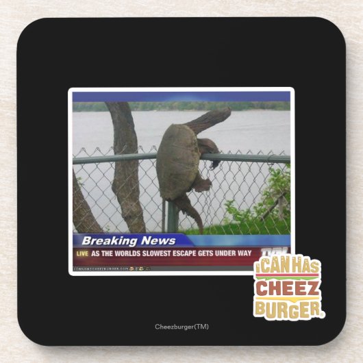 Excaping Schildkröte Untersetzer (Vorderseite)