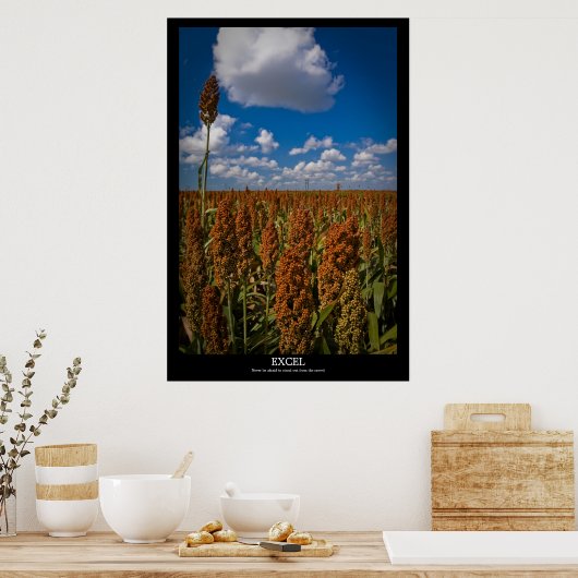 Excel Poster (Küche)