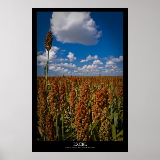 Excel Poster (Vorne)