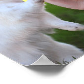 Exempel Poster (Ecke)