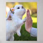 Exempel Poster (Vorne)