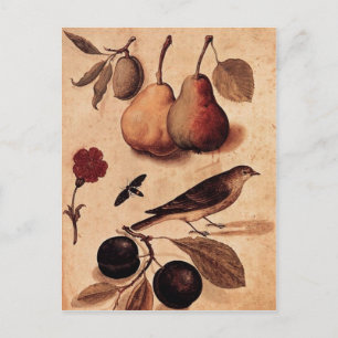 Exemplare der Postkarte Natur