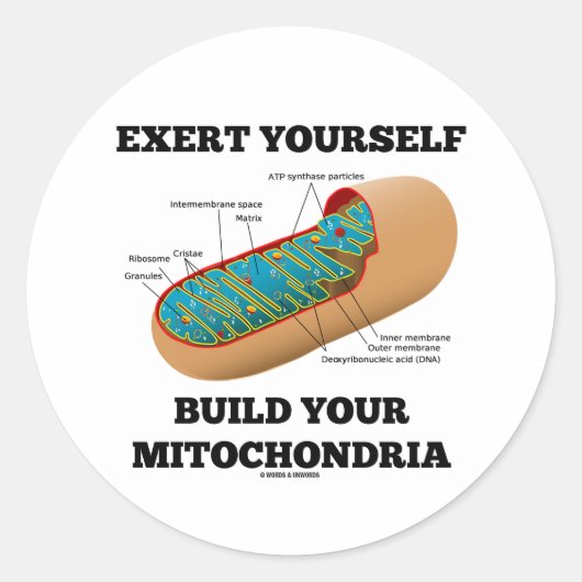 Exert Sie selbst bauen Ihre Mitochondrie Runder Aufkleber (Vorderseite)
