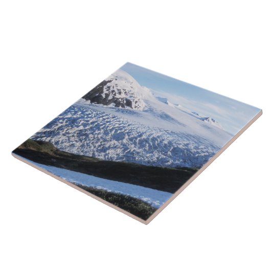 Exit Glacier in Kenai Fjords National Park Fliese (Seite)