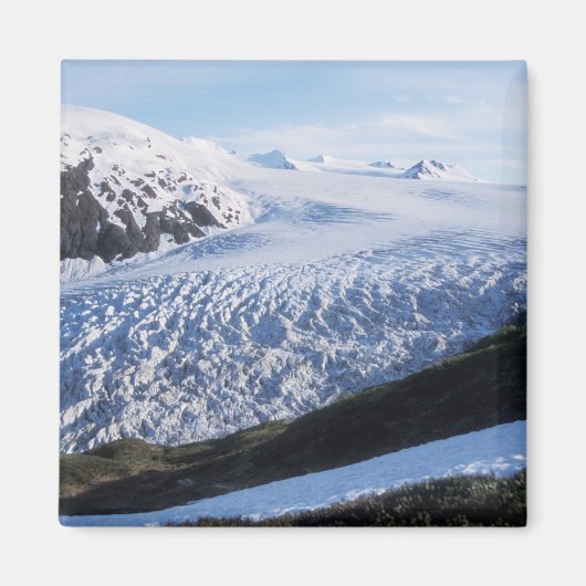 Exit Glacier in Kenai Fjords National Park, Magnet (Vorne)