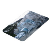 Exit Glacier Toe, Kenai Fjords National Park, AK Magnet (Linke Seite)