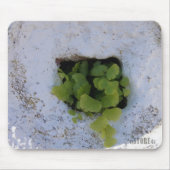 Exklusives Mousepad - Wand 044 (Vorne)