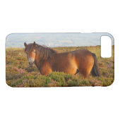 Exmoon Pony, Pferd, Somerset, England Case-Mate iPhone Hülle (Rückseite (Horizontal))