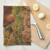 Exmoon Pony, Pferd, Somerset, England Geschirrtuch (Viertel Falte)