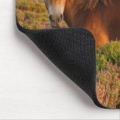 Exmoon Pony, Pferd, Somerset, England Mousepad (Ecke)