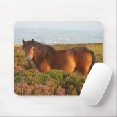 Exmoon Pony, Pferd, Somerset, England Mousepad (Mit Mouse)
