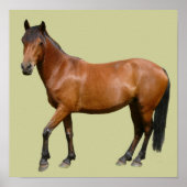 Exmoor Horse Poster (Vorne)