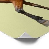 Exmoor Horse Poster (Ecke)