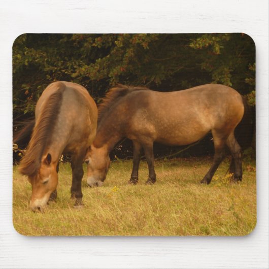 Exmoor Ponys Mousepad (Vorne)