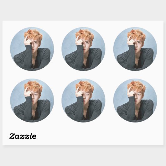 EXO Sehun Stickers (Blatt)