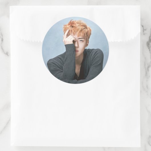 EXO Sehun Stickers (Tasche)