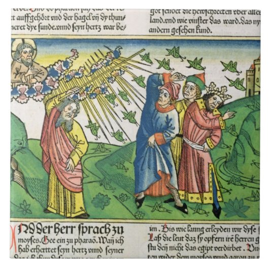 Exodus-10:1 - 20 die sieben Pest von Ägypten: der Fliese (Vorderseite)