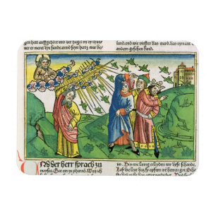 Exodus-10:1 - 20 die sieben Pest von Ägypten: der Magnet