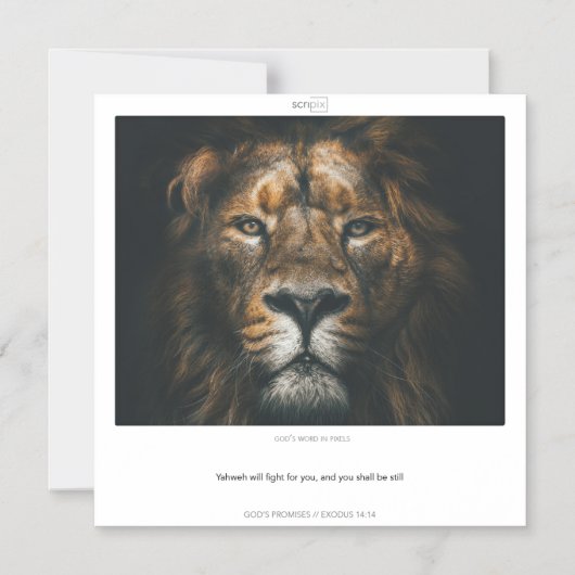 Exodus 14:14 WAREN VERSPRECHEN SCRIPIX-Magnetkarte Magneteinladung (Vorderseite)