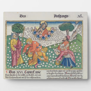 Exodus 16 13-22 Gott versorgt die Wachteln und Man Fotoplatte
