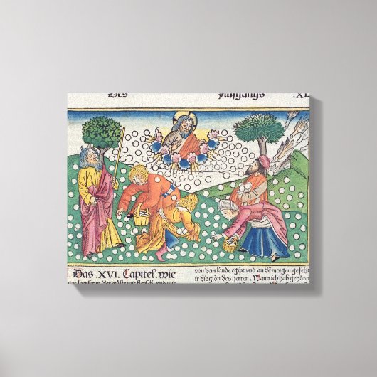 Exodus 16 13-22 Gott versorgt die Wachteln und Man Leinwanddruck (Vorderseite)