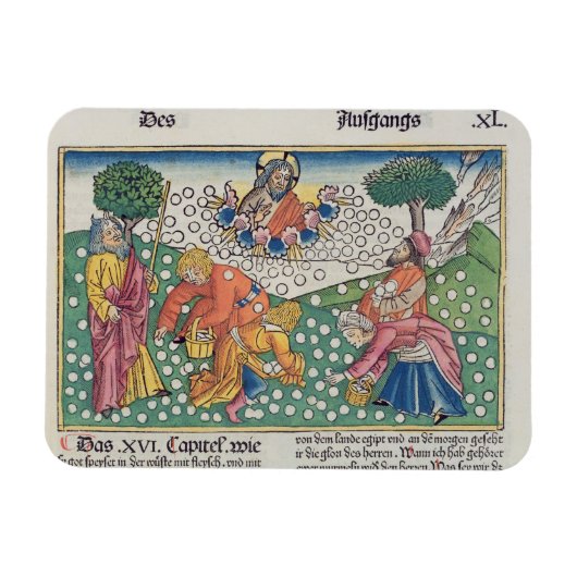 Exodus 16 13-22 Gott versorgt die Wachteln und Man Magnet (Horizontal)