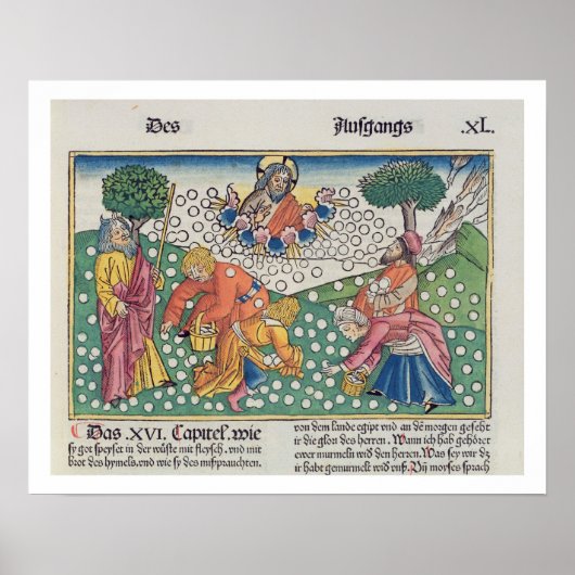 Exodus 16 13-22 Gott versorgt die Wachteln und Man Poster (Vorne)