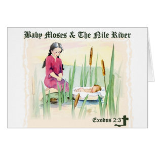 Exodus-2:3 - Baby Moses auf dem Nil