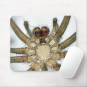 Exoskeletonspinne Mousepad (Mit Mouse)