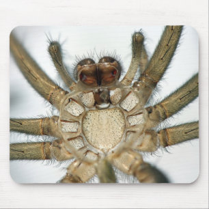 Exoskeletonspinne Mousepad