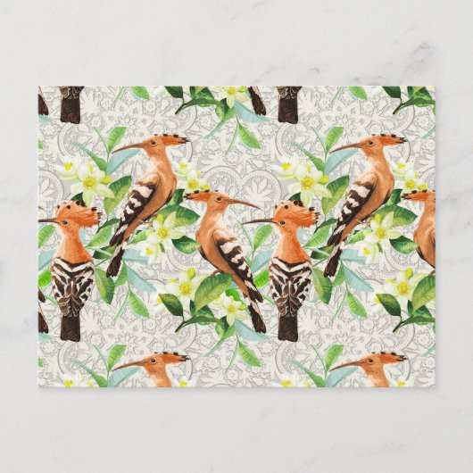 Exotic Birds On Lace Postkarte (Vorderseite)