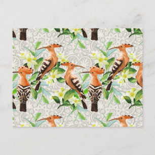 Exotic Birds On Lace Postkarte