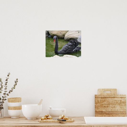 Exotic Black Swan Poster (Küche)