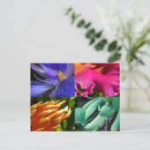 Exotic Blooms Postcard Postkarte (Stehend Vorderseite)