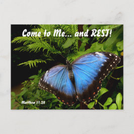 Exotic blue butterfly 2 postkarte