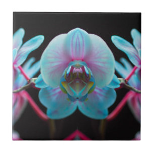 Exotic Blue Orchid Reflection Fliese