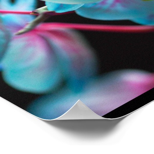 Exotic Blue Orchid Reflection Poster (Ecke)