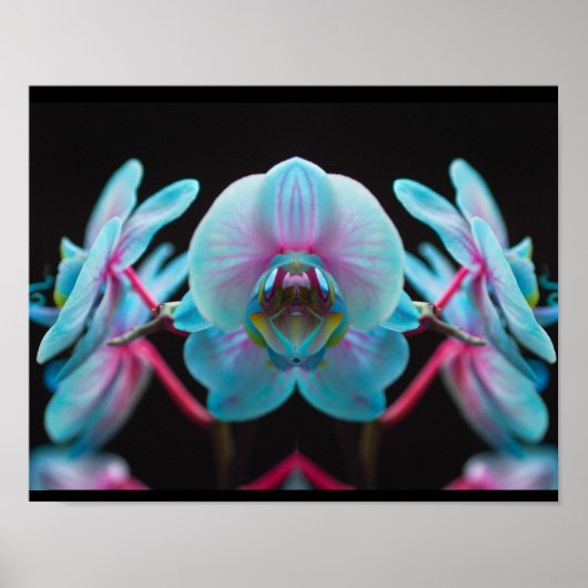 Exotic Blue Orchid Reflection Poster (Vorne)