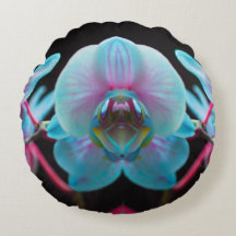 Exotic Blue Orchid Reflection