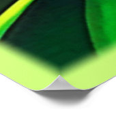 Exotic Dragon Fruit Bloom Poster (Ecke)