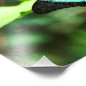 Exotic Emerald Frack Fotodruck (Ecke)