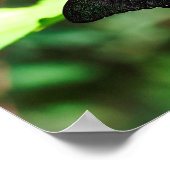 Exotic Emerald Frack Poster (Ecke)