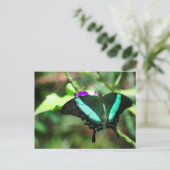 Exotic Emerald Frack Postkarte (Stehend Vorderseite)