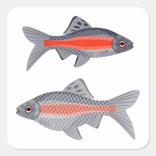 Exotic Fish Square Sticker (Vorderseite)