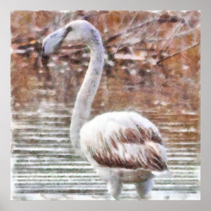 Exotic Flamingo Poster